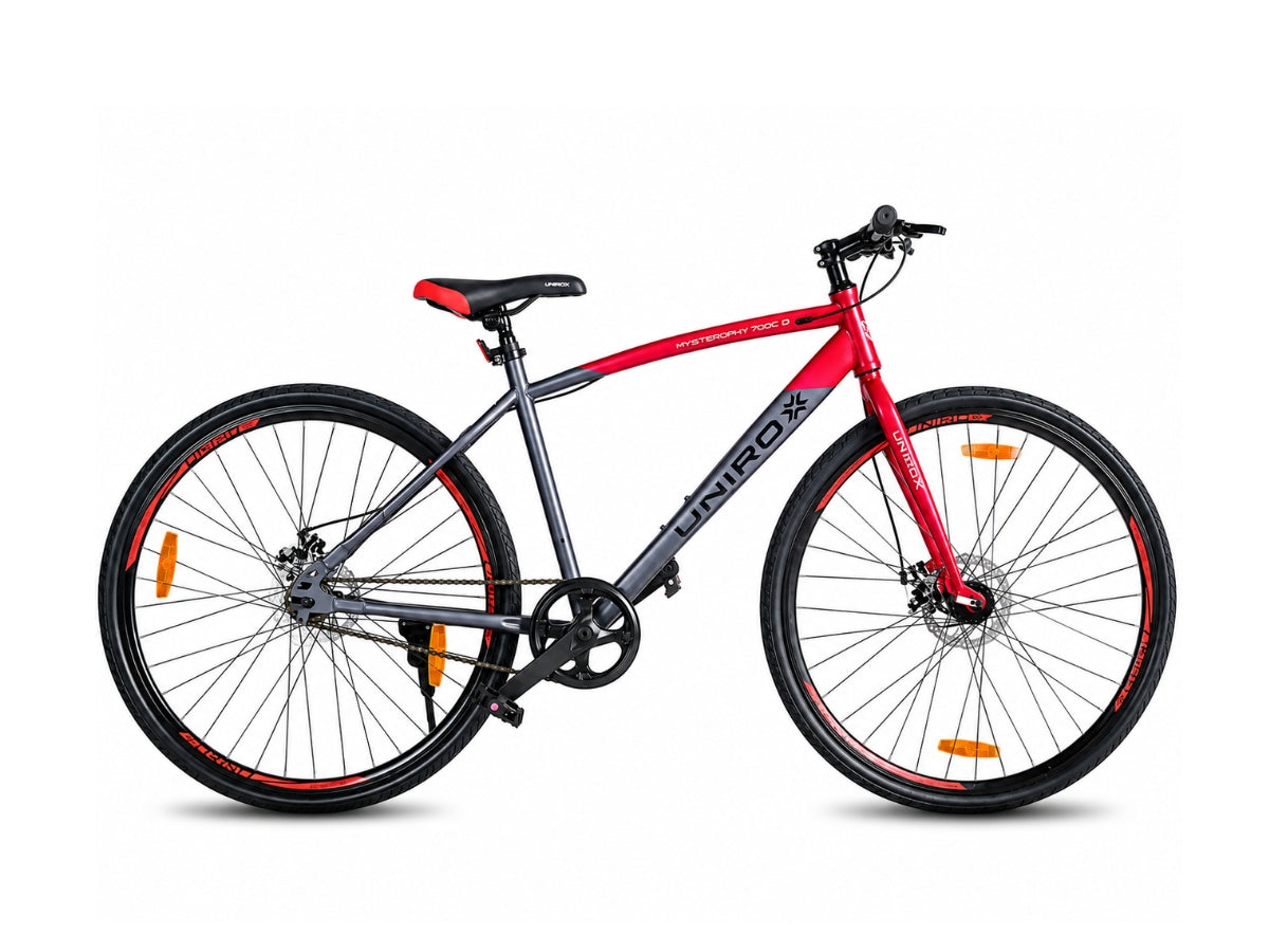 Unirox Amsterdam DB 700C