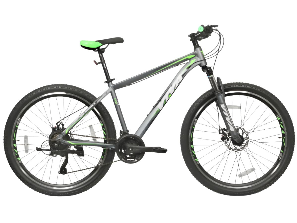 Viva 29 Speedo Alloy 21-Speed  D/Disc  Bicycle