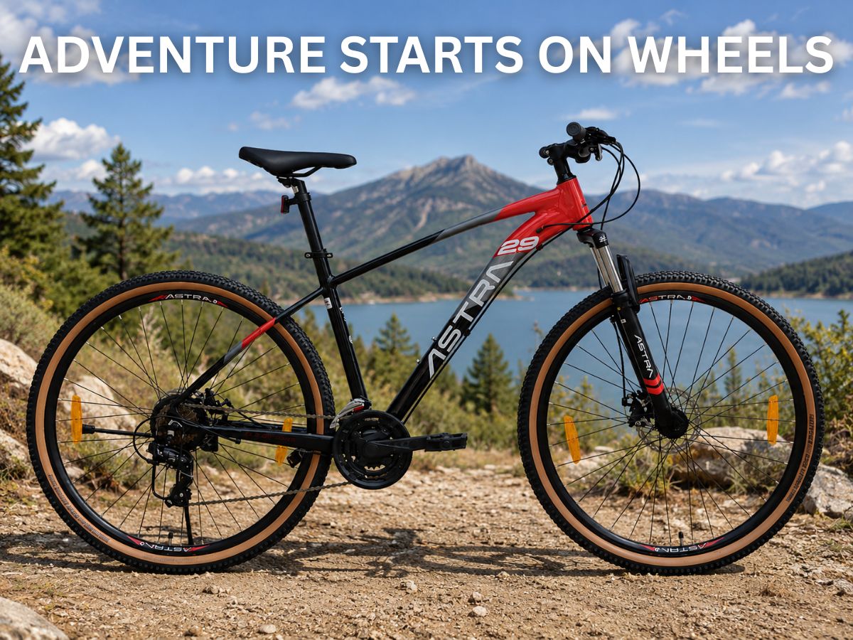 Astra 29 Bolt 21 Spd FS D/Disc Bicycle