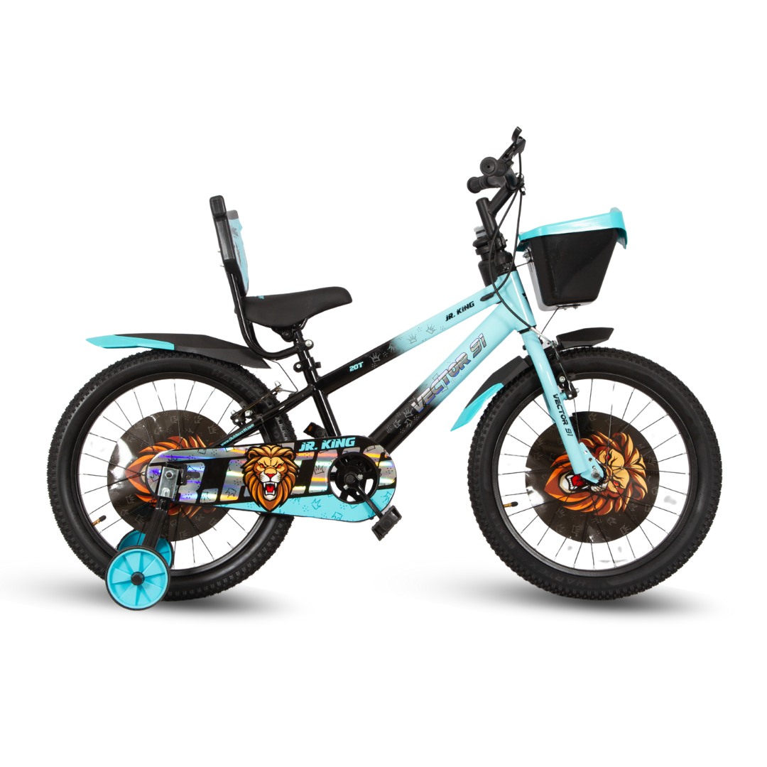 Ninetyone 20 JR King Bicycle