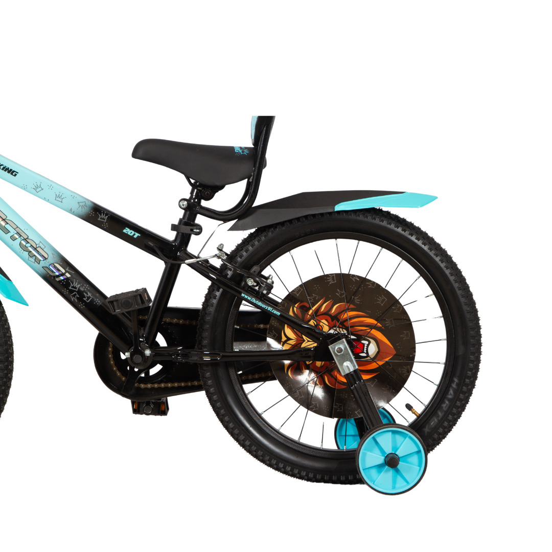 Ninetyone 20 JR King Bicycle