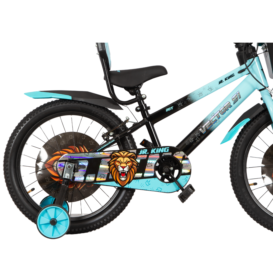Ninetyone 20 JR King Bicycle