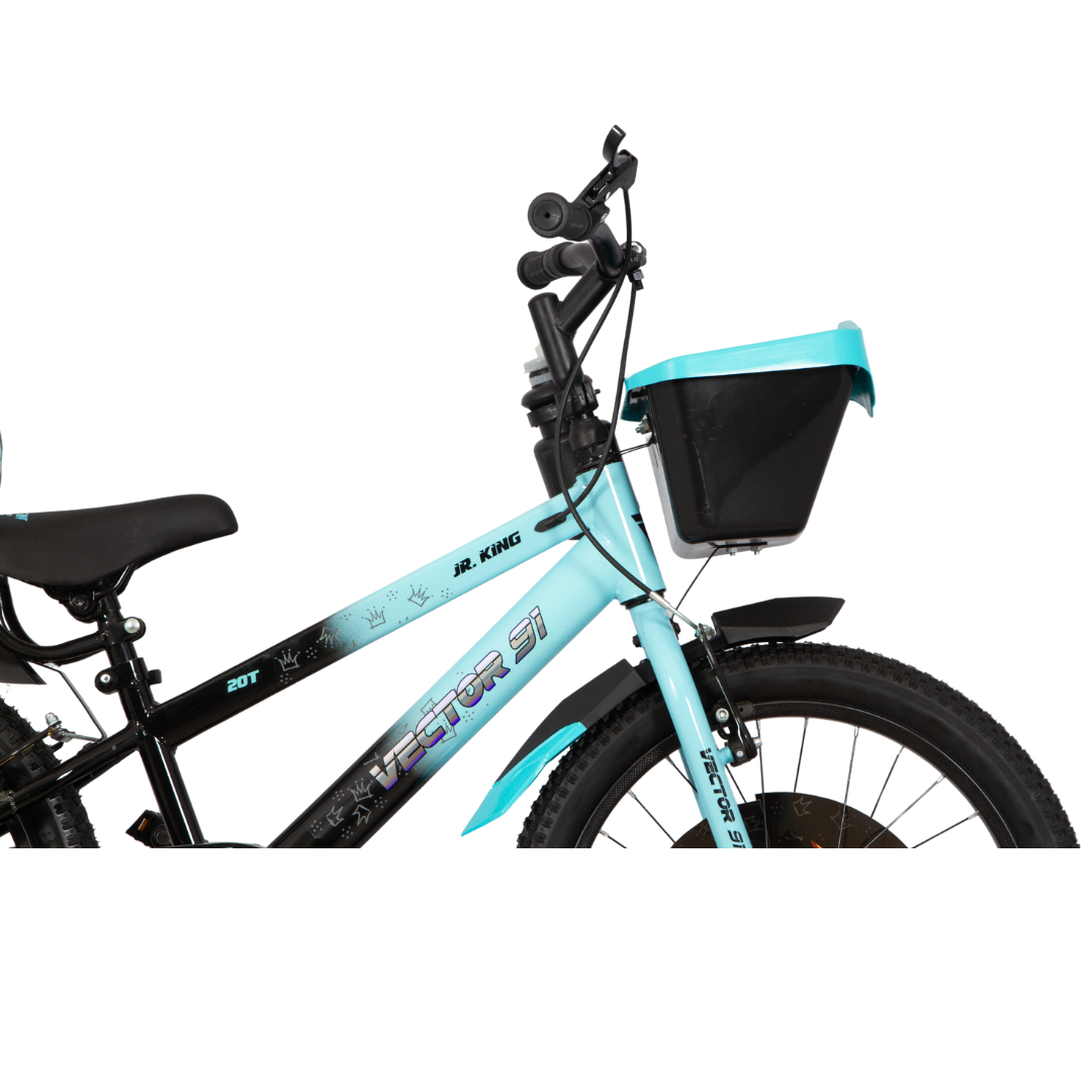 Ninetyone 20 JR King Bicycle