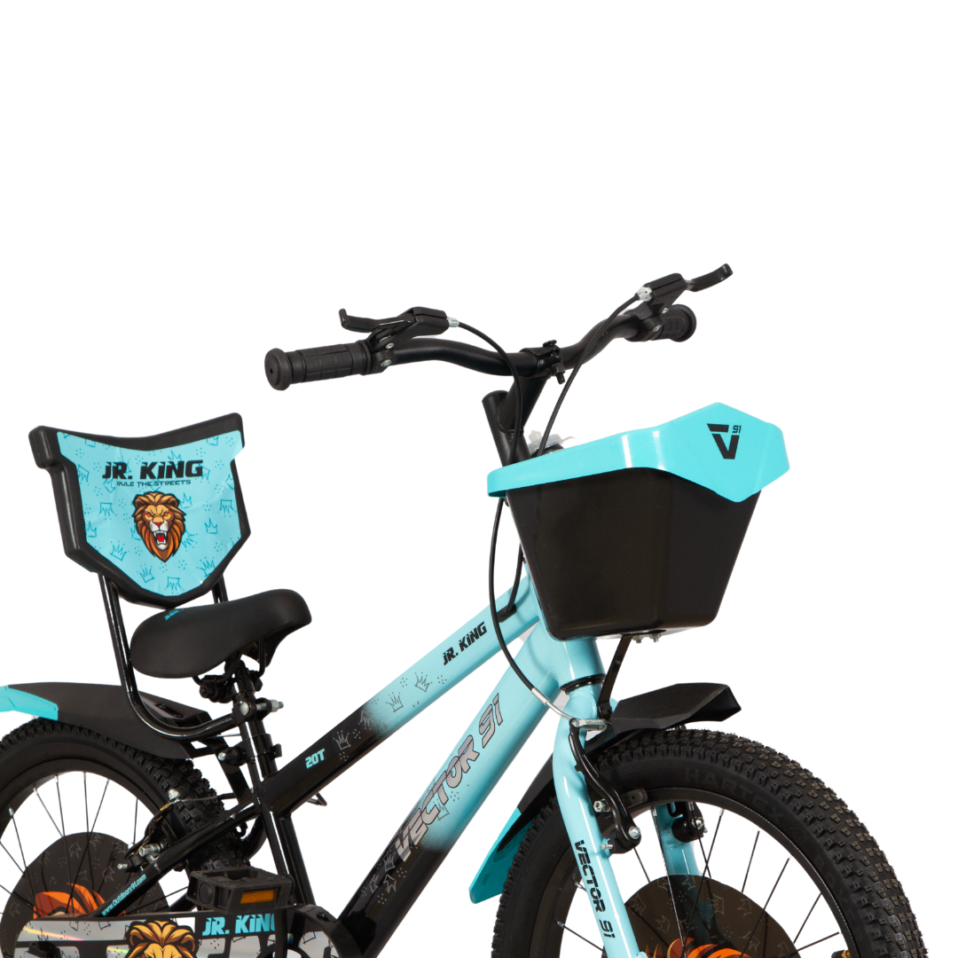 Ninetyone 20 JR King Bicycle