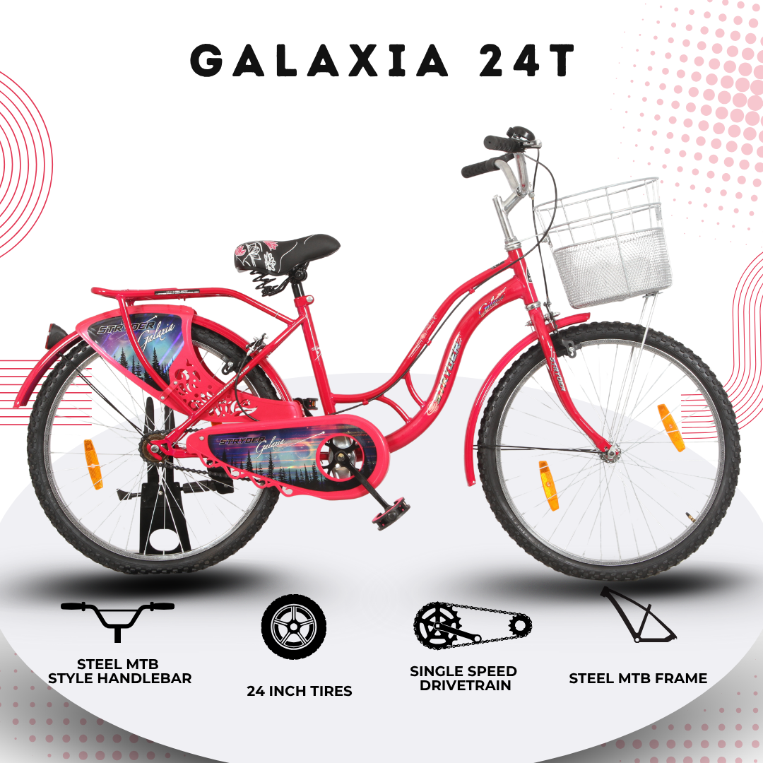 Stryder 24 Galaxia IC Bicycle