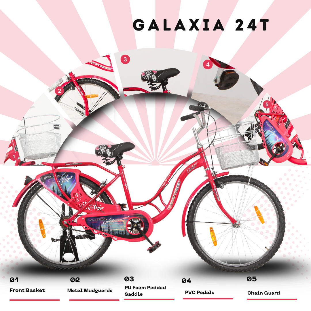 Stryder 24 Galaxia IC Bicycle