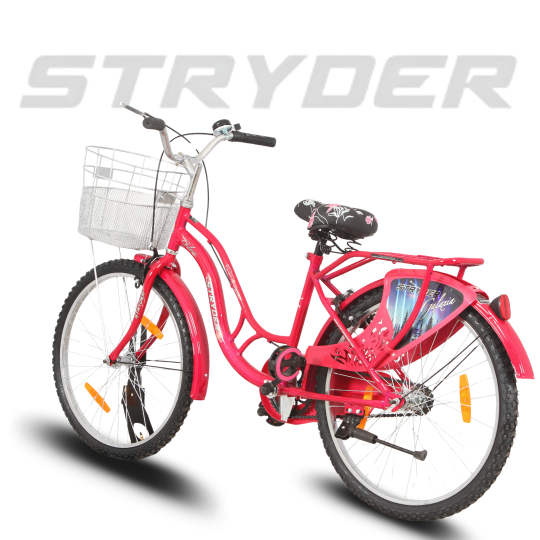 Stryder 24 Galaxia IC Bicycle
