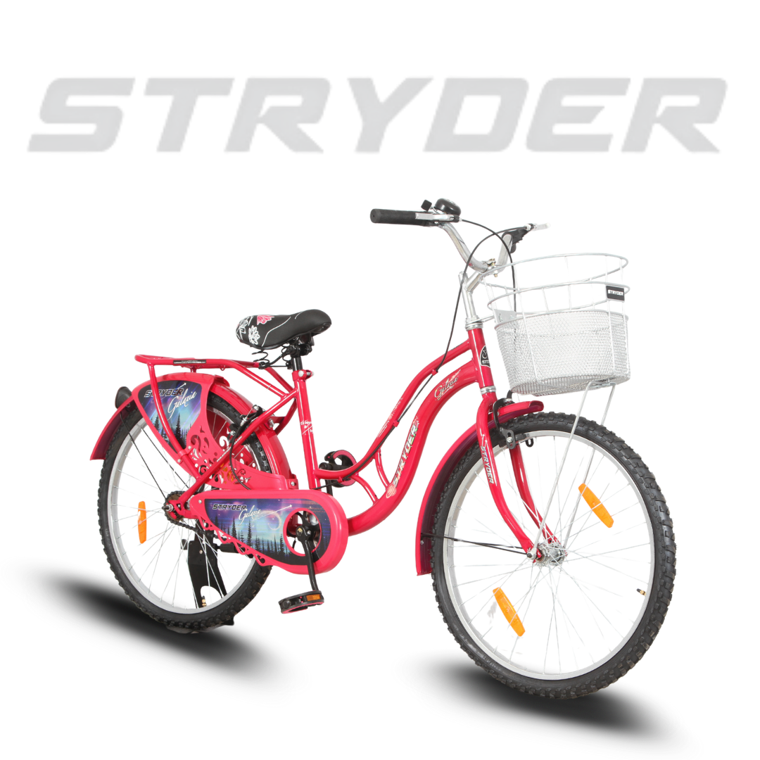 Stryder 24 Galaxia IC Bicycle