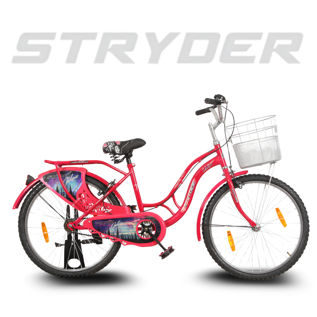 Stryder 24 Galaxia IC Bicycle