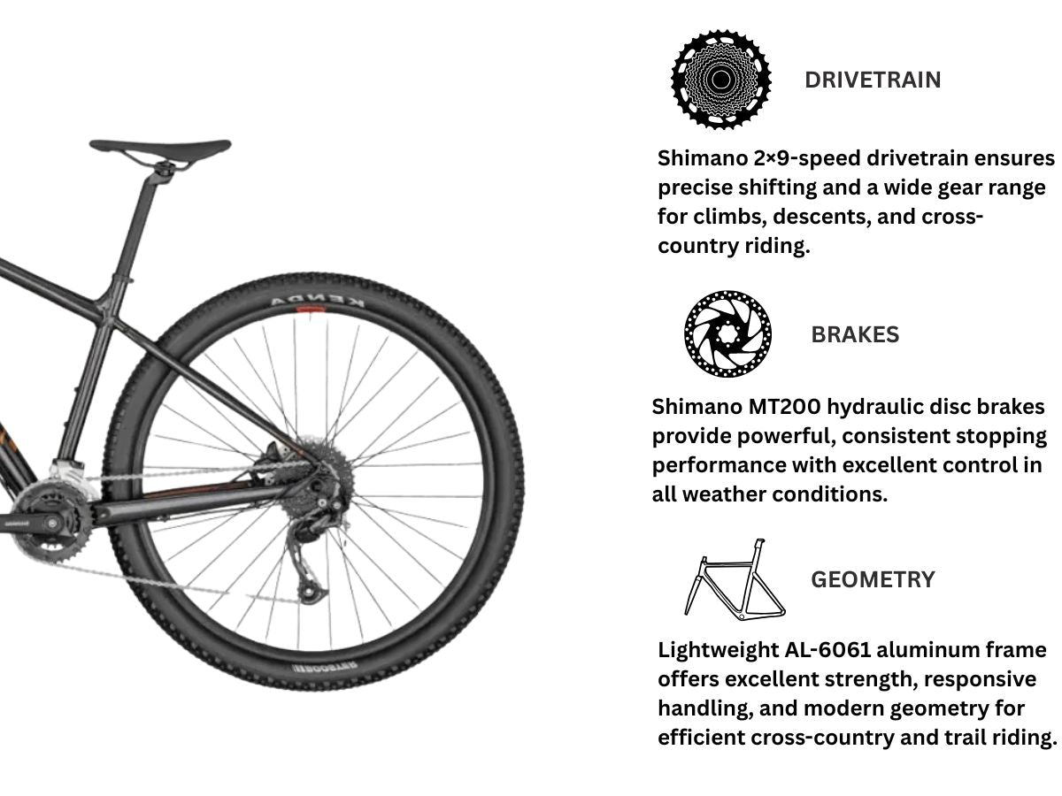Bergamont 29" Revox 4 Hardtail Mountain Bike