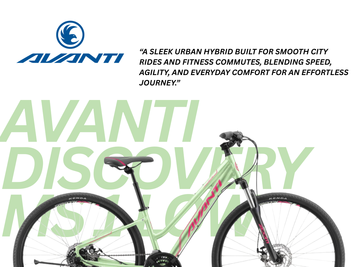 Avanti Discovery MS 1 Low Bicycle