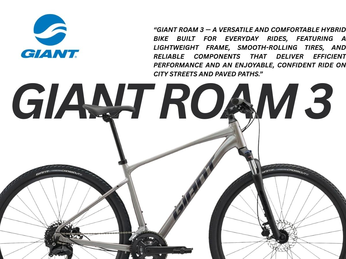 Giant Roam 3 Bicycle