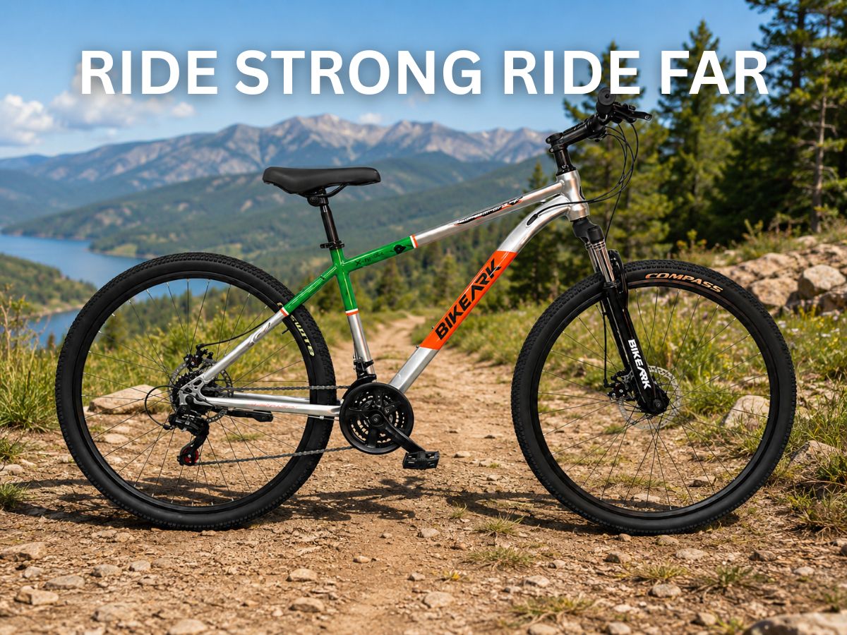 BikeArk 29 Armor 21 Spd FS D/Disc Bicycle