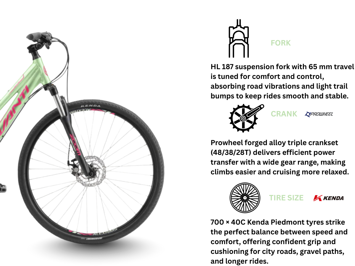 Avanti Discovery MS 1 Low Bicycle