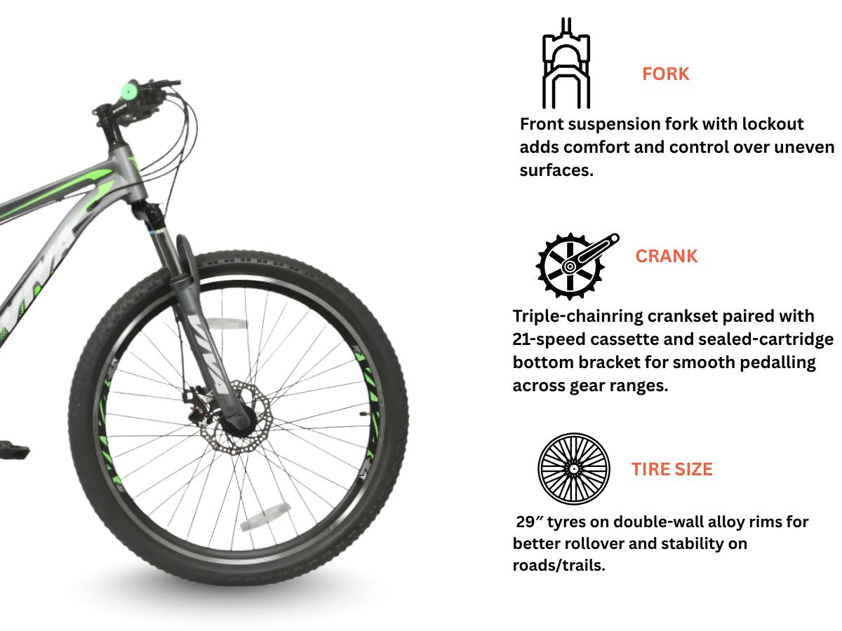 Viva 29 Speedo Alloy 21-Speed  D/Disc  Bicycle