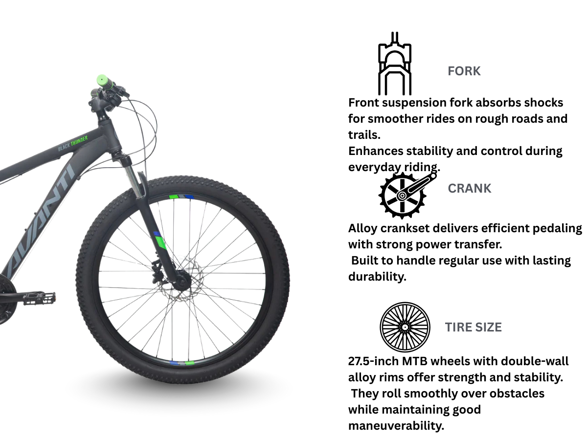 Avanti Black Thunder Limited Edition Bicycle