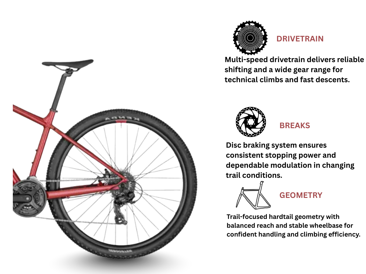 Bergamont 29" Revox 2 Hardtail Mountain Bike