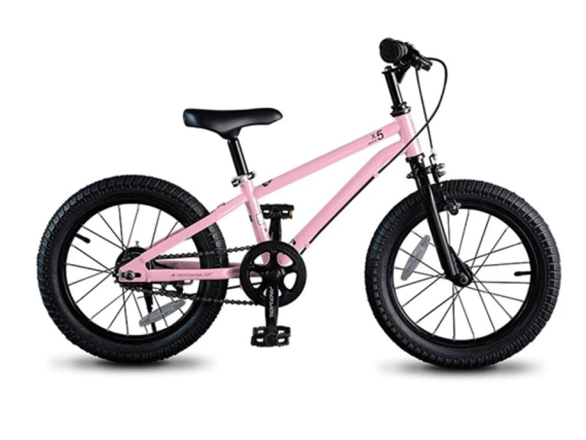Royalbaby 18 X5 Bicycle
