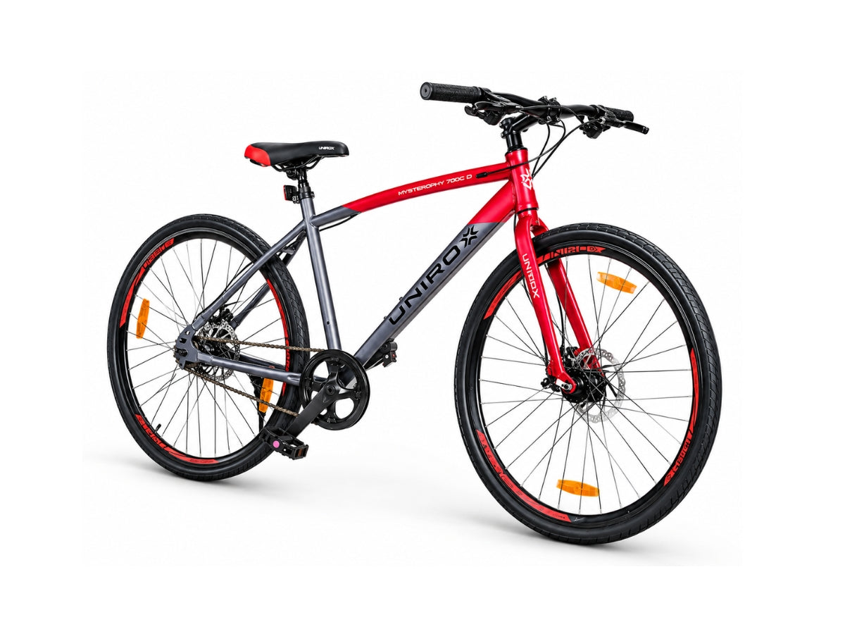 Unirox Amsterdam DB 700C