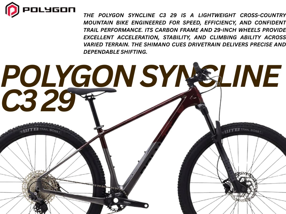 Polygon Syncline C3 29r