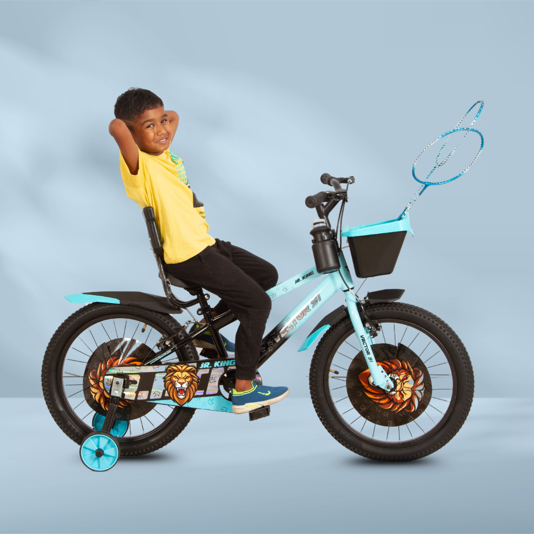 Ninetyone 20 JR King Bicycle