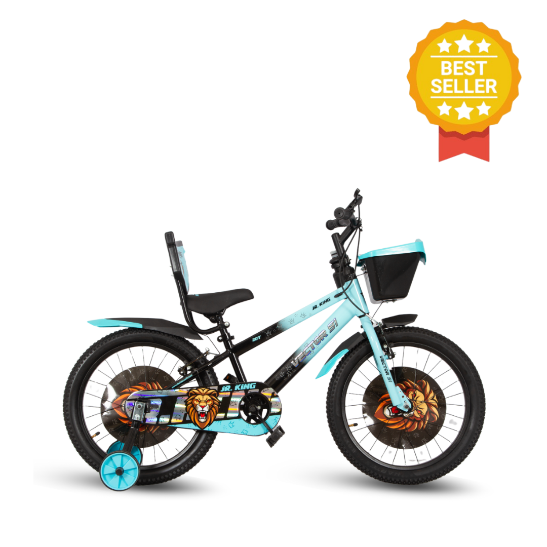 Ninetyone 20 JR King Bicycle