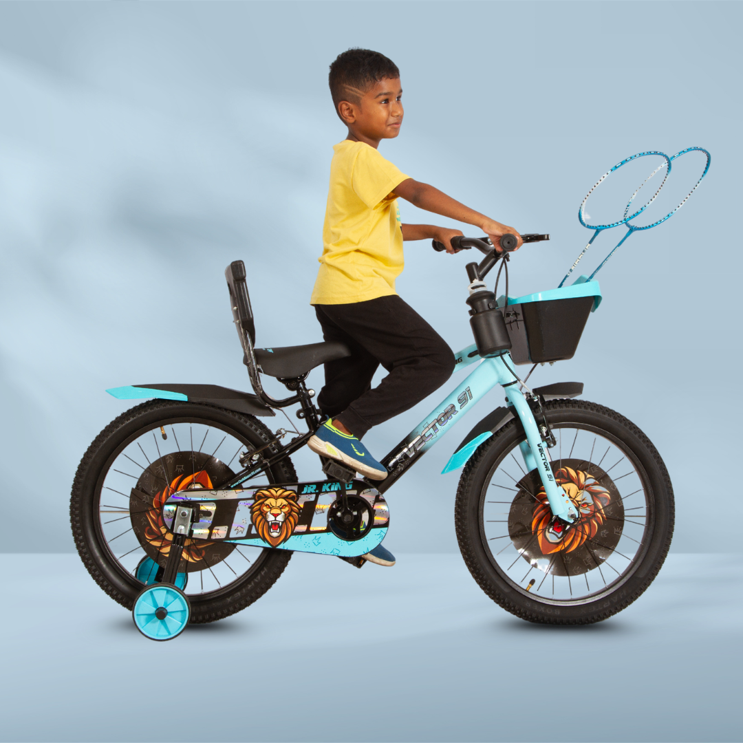 Ninetyone 20 JR King Bicycle