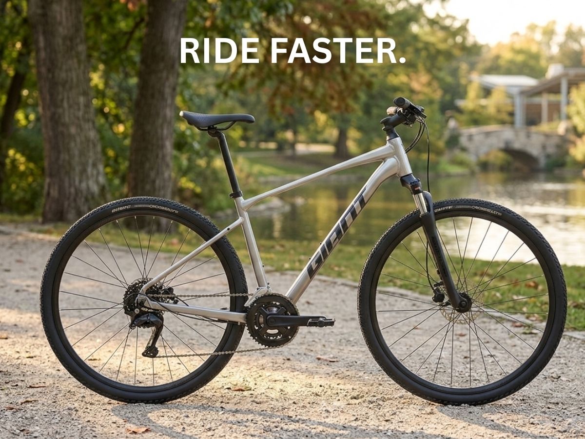 Giant Roam 3 Bicycle