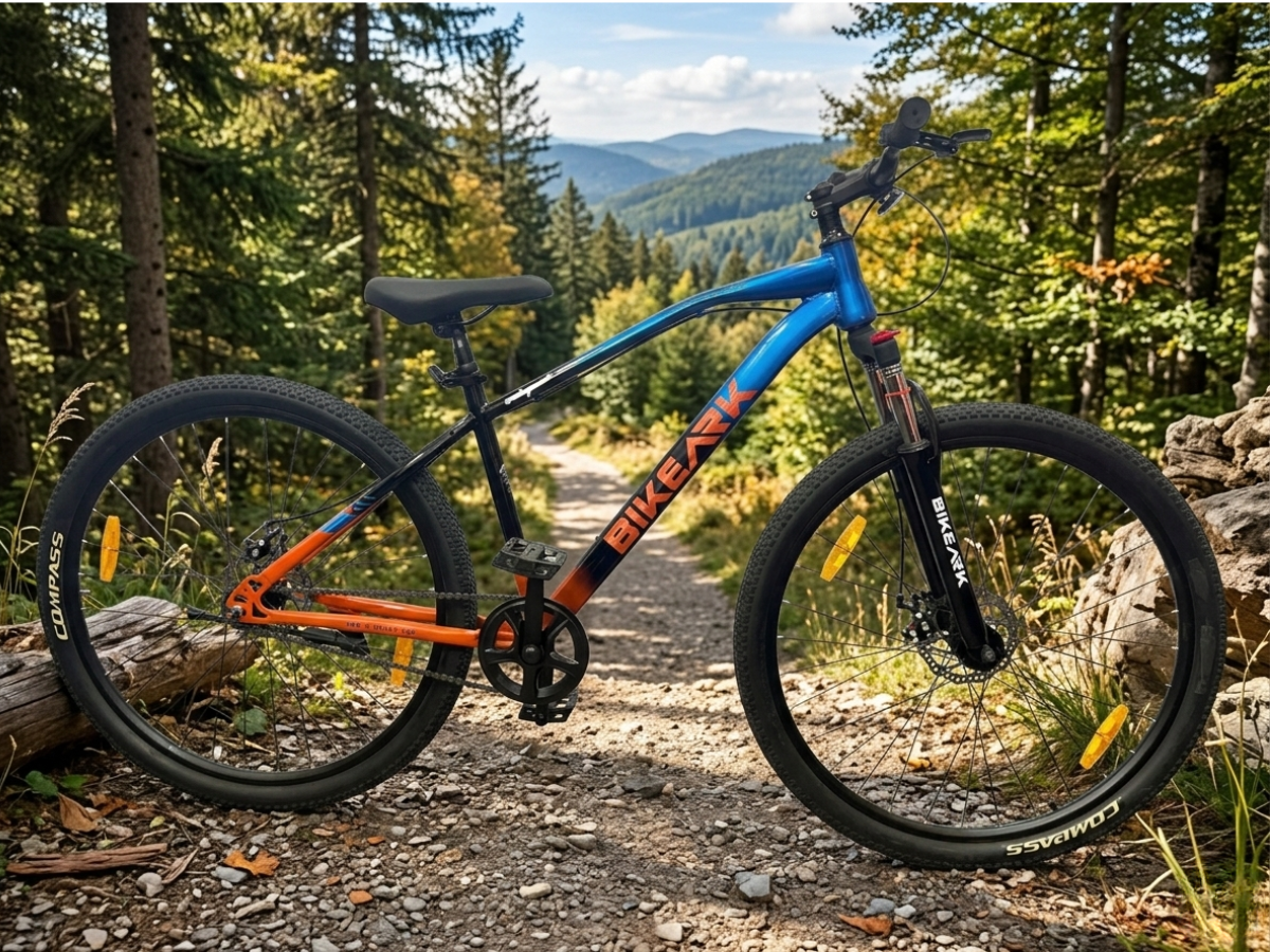 Bike Ark God Speed 29 SS Bicycle