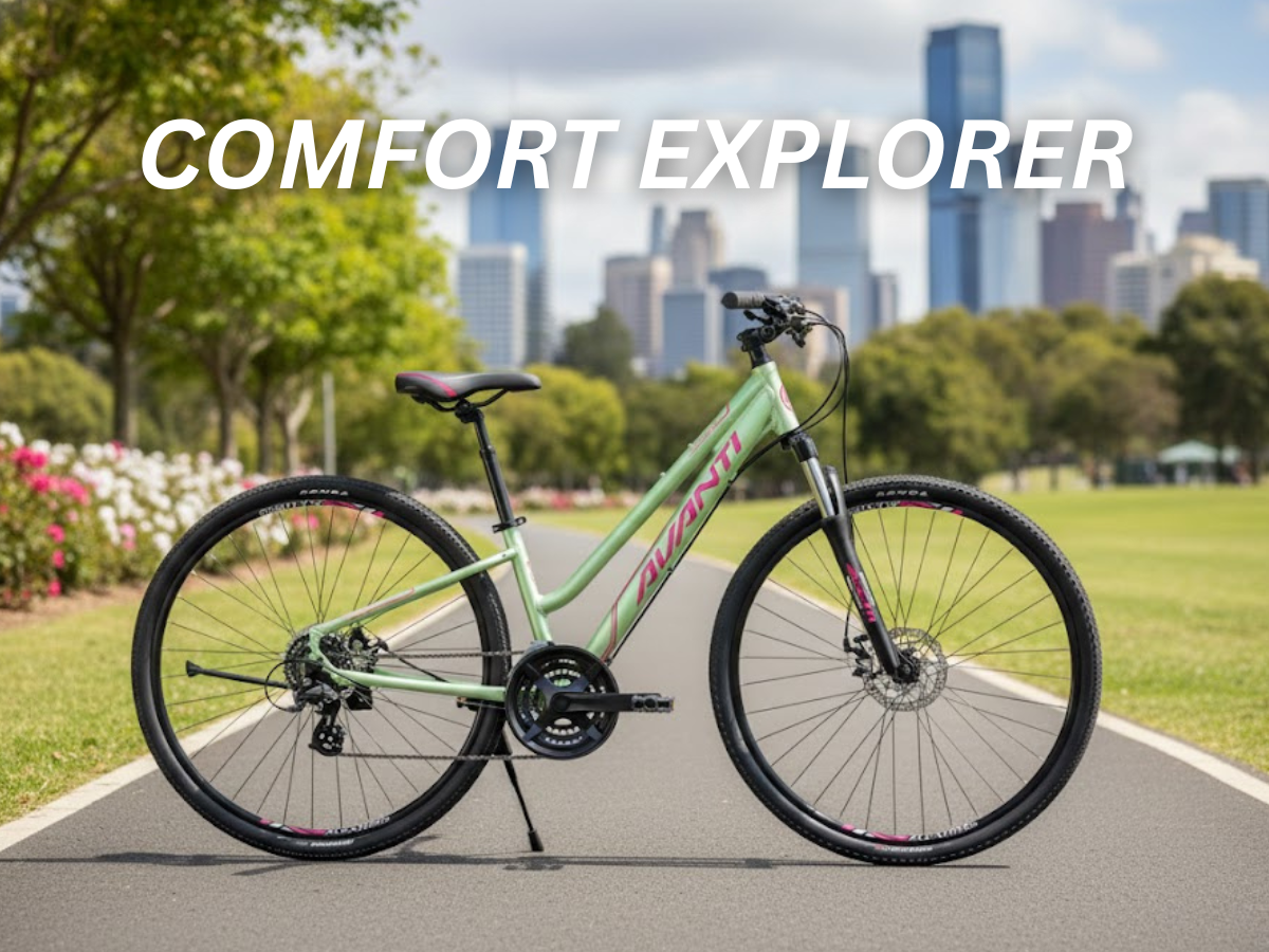 Avanti Discovery MS 1 Low Bicycle