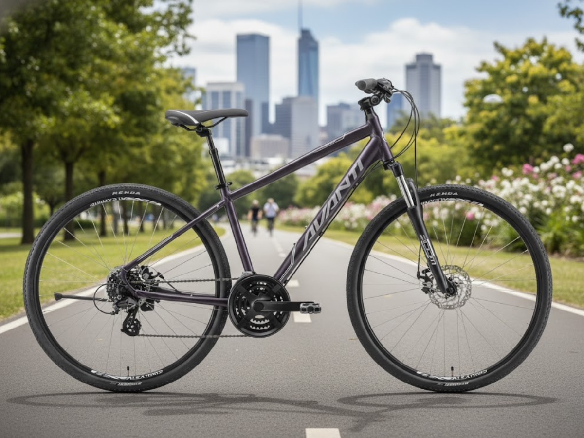 Avanti Discovery MS 1 Bicycle