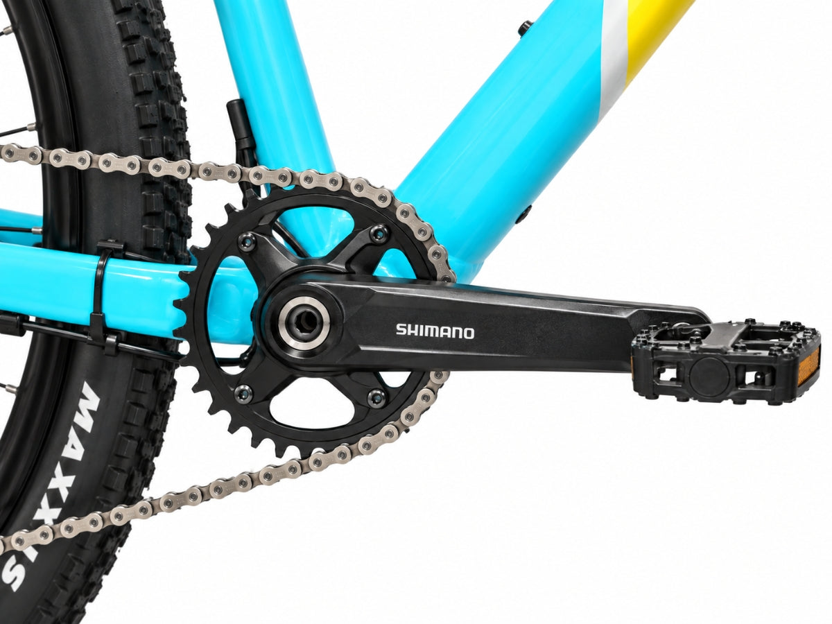 Bonzai Spear12 XC MTB