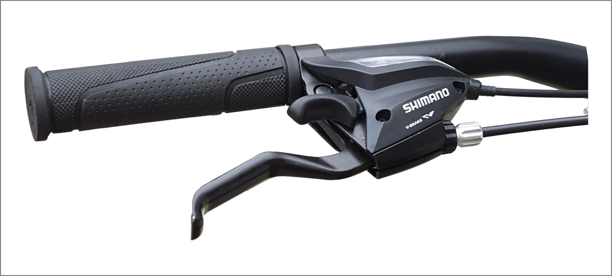 Astra 29 Artemis 21 Spd D/Disc Bicycle