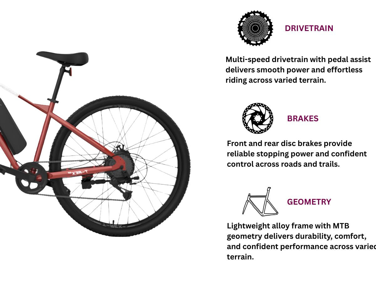EMotorad 29 T-Rex Air E-Bicycle
