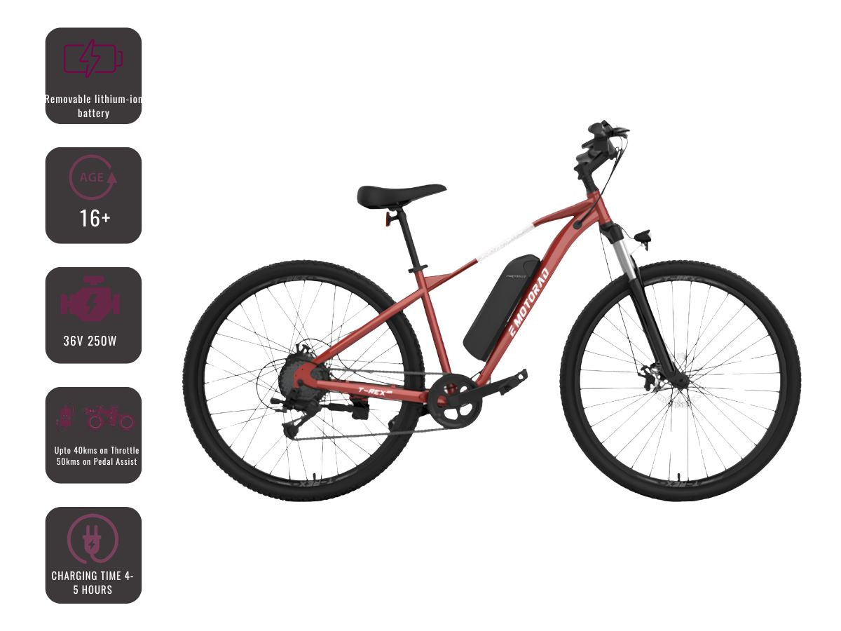 EMotorad 29 T-Rex Air E-Bicycle