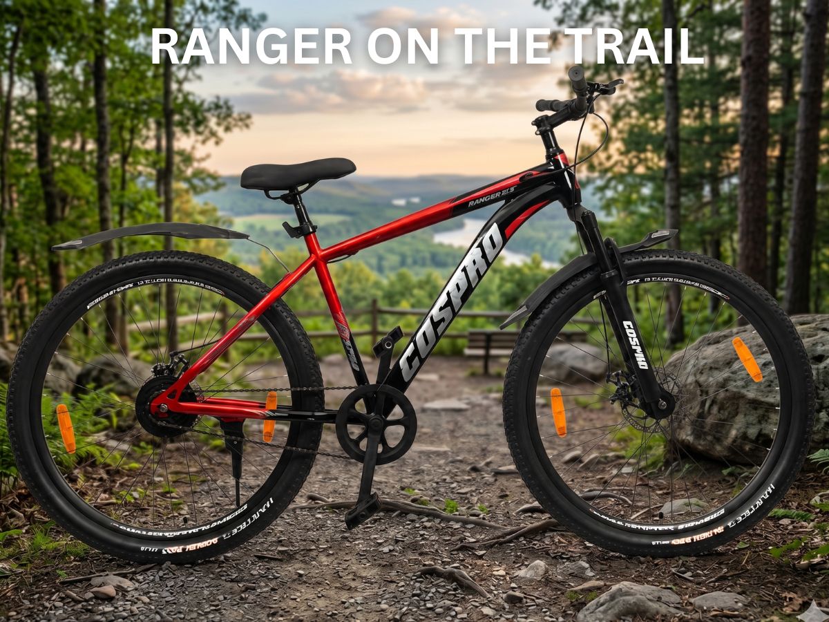 Cospro 29 Mizo SS FS D/Disc Bicycle