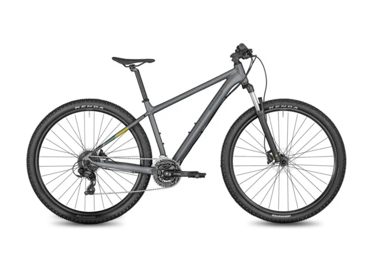 Bergamont 29