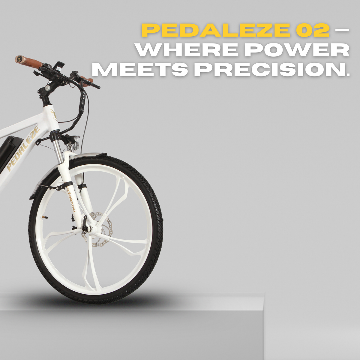 PeDaleze O2 Plus E Bicycle