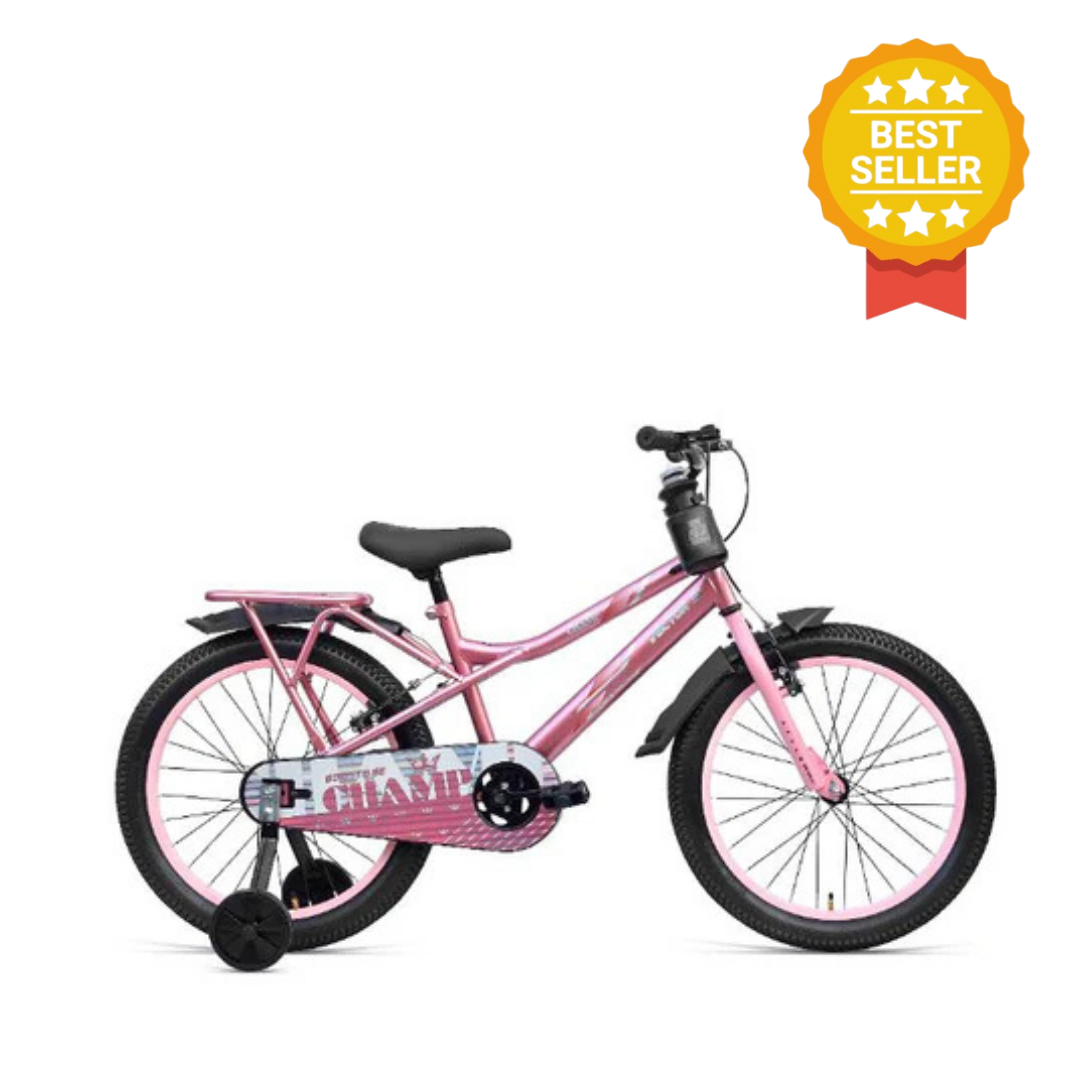 Ninetyone 20 Champ Bicycle