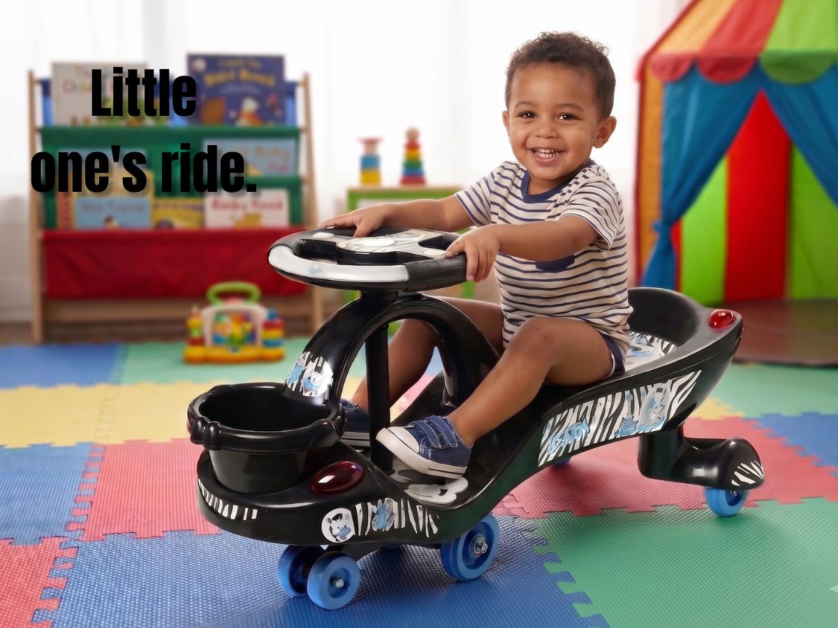 Toyzone Eco Zebra Twist Car