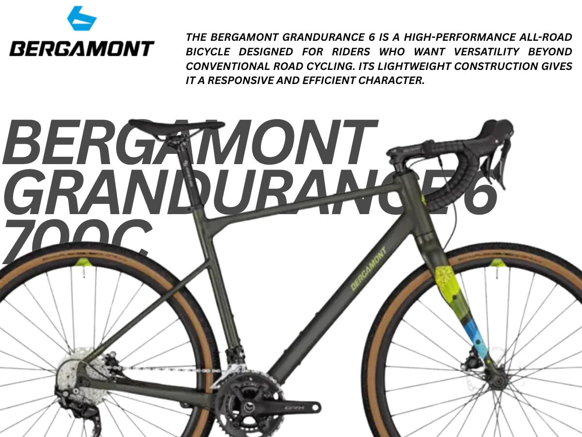 Bergamont 700C Grandurance 6 Performance Bike Dark Gold (Shiny)
