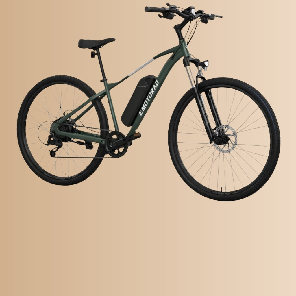 EMotorad 29 T-Rex Air E-Bicycle