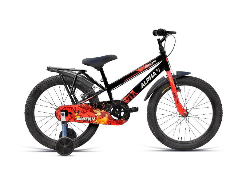 Ninetyone 20 Bucky Bicycle