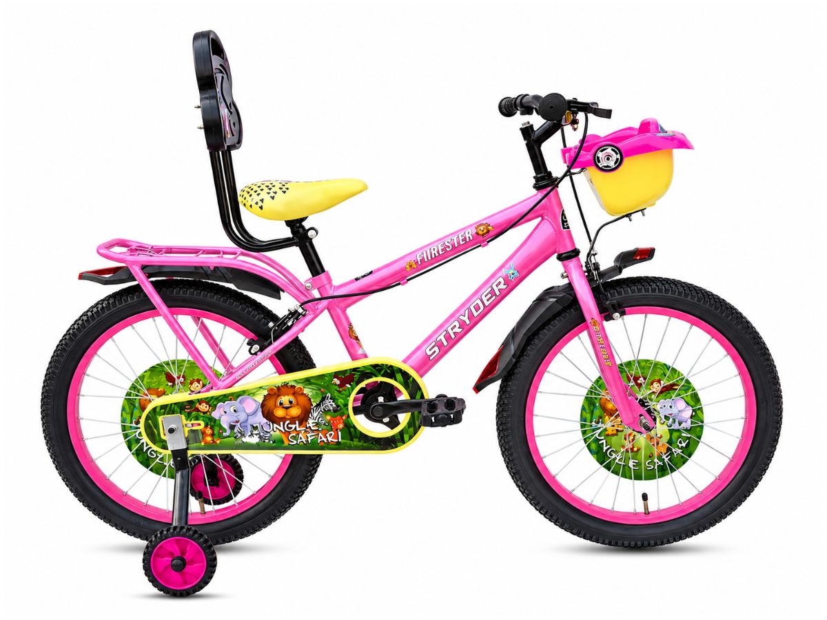 Stryder 20 Forester Bicycle