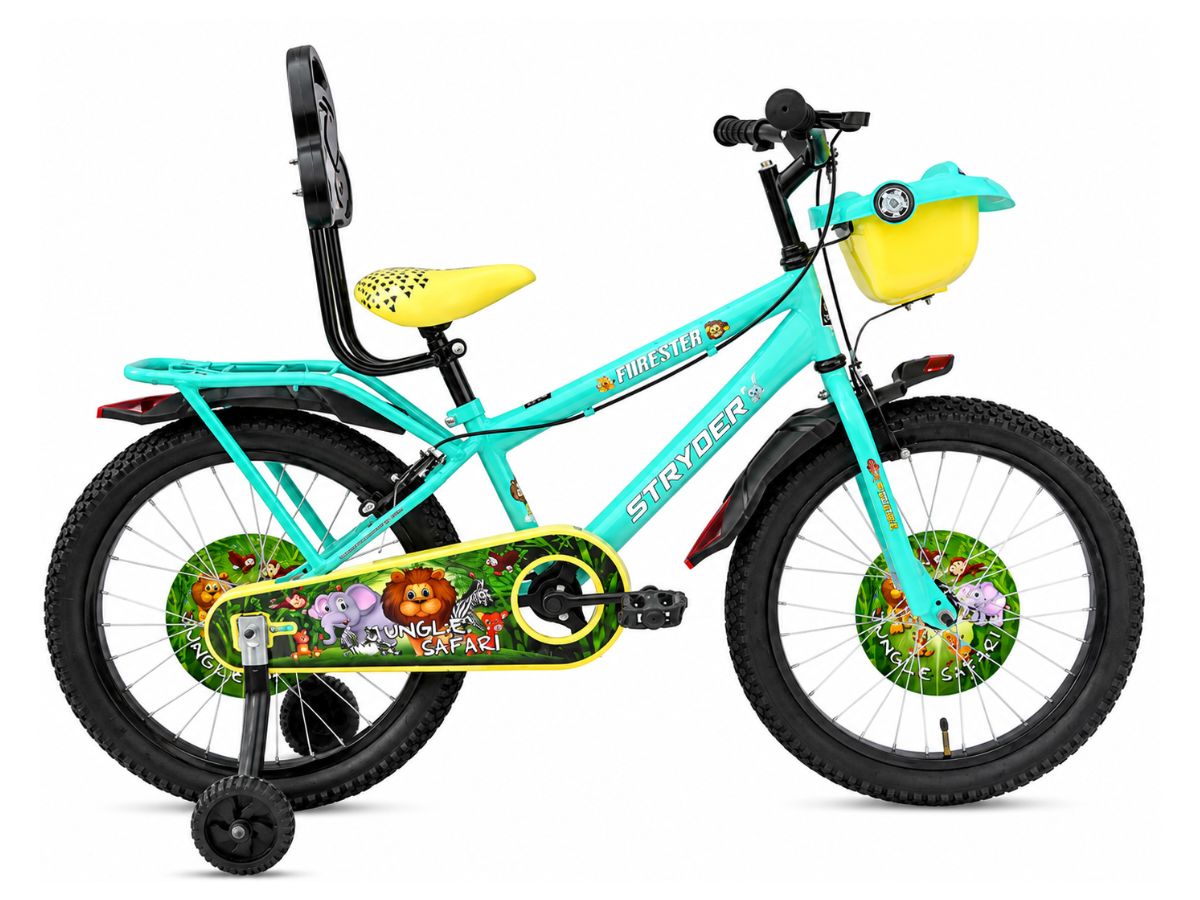 Stryder 20 Forester Bicycle