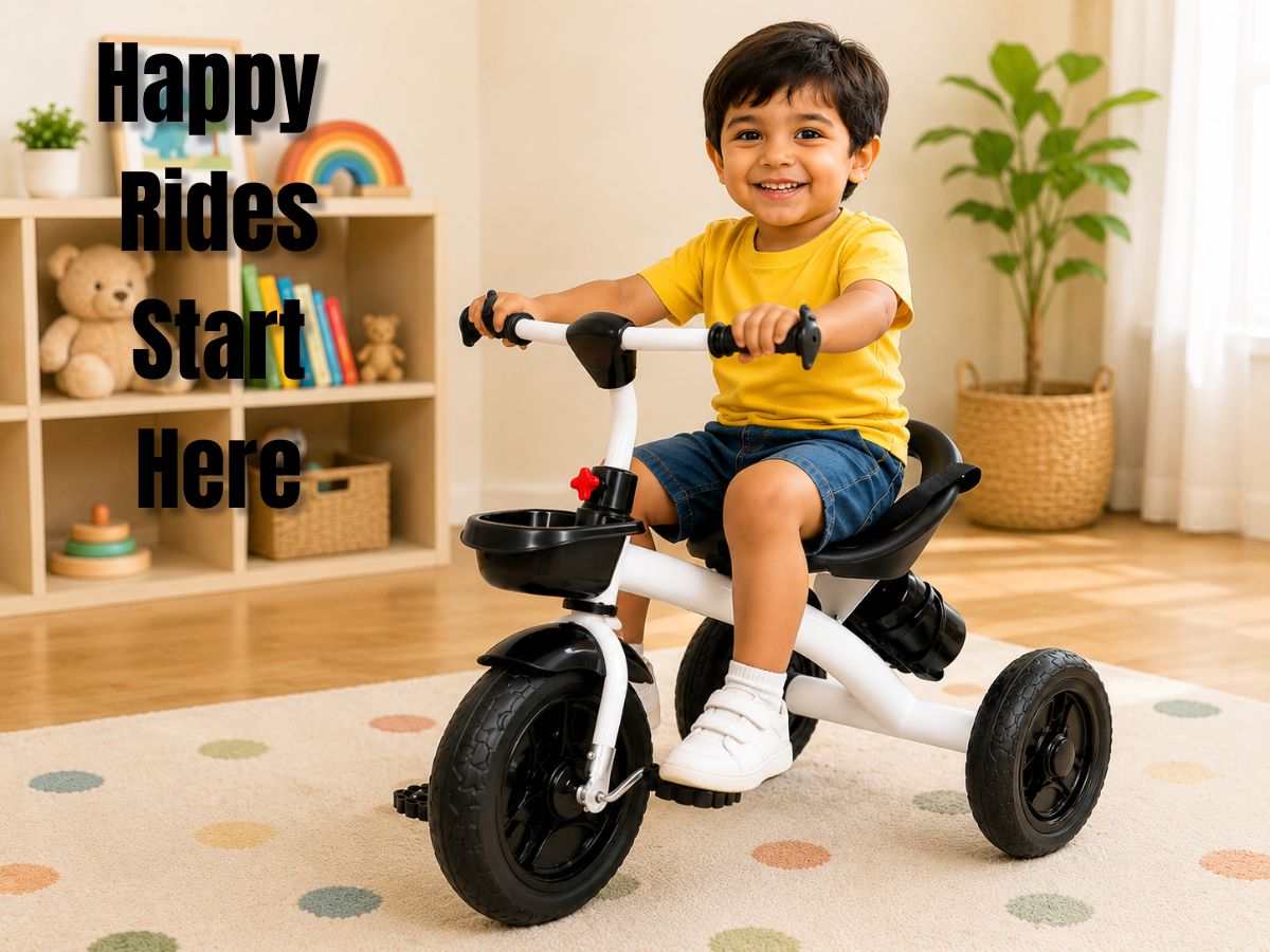 Toyzone Phoenix Tricycle