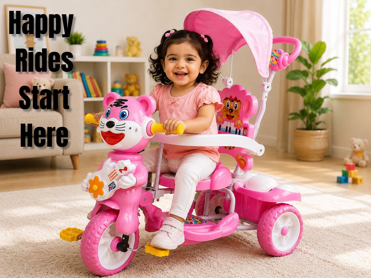 PanDa Romeo Navigator Tricycle