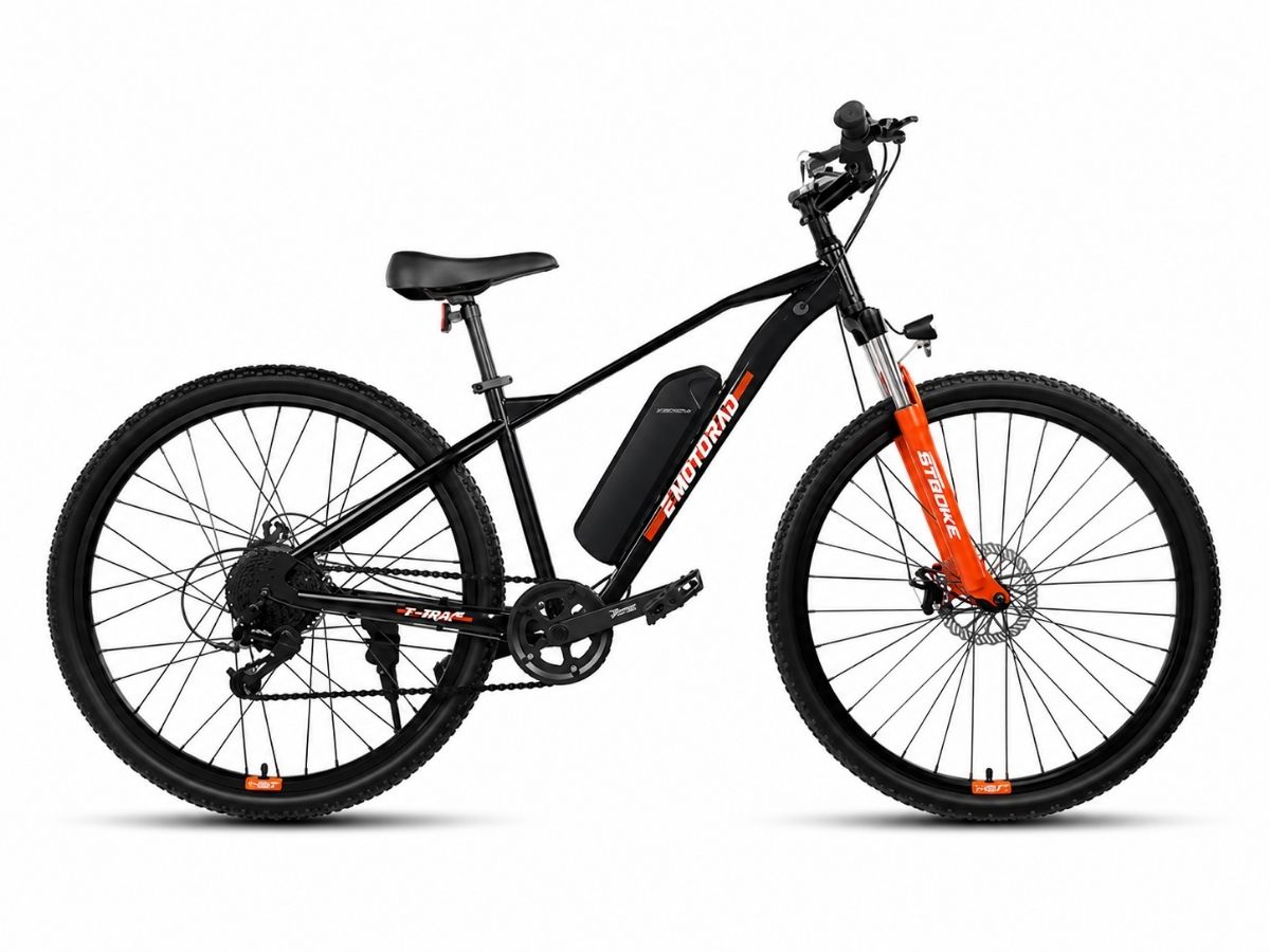 EMotorad 29 T-Rex Air E-Bicycle
