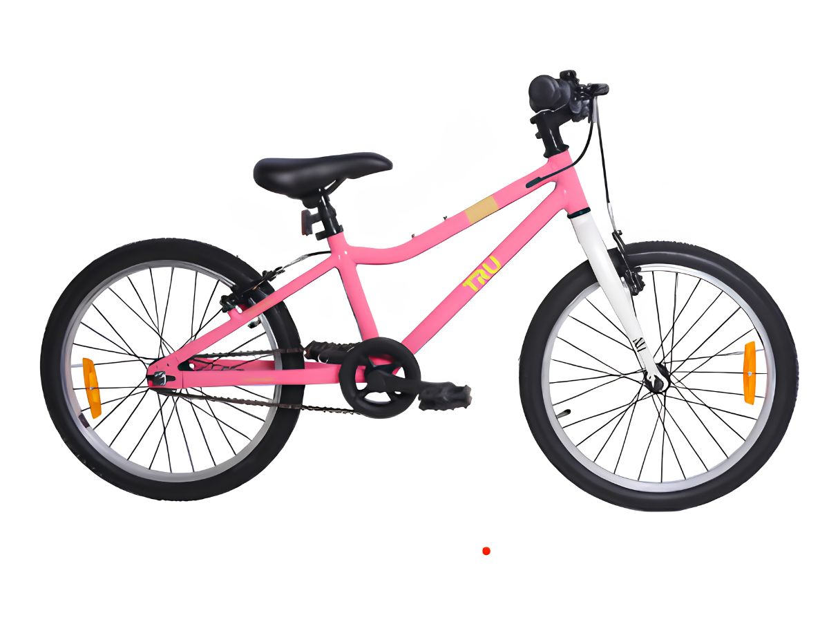 Tru 20 Joy SS V-Brake Bicycle