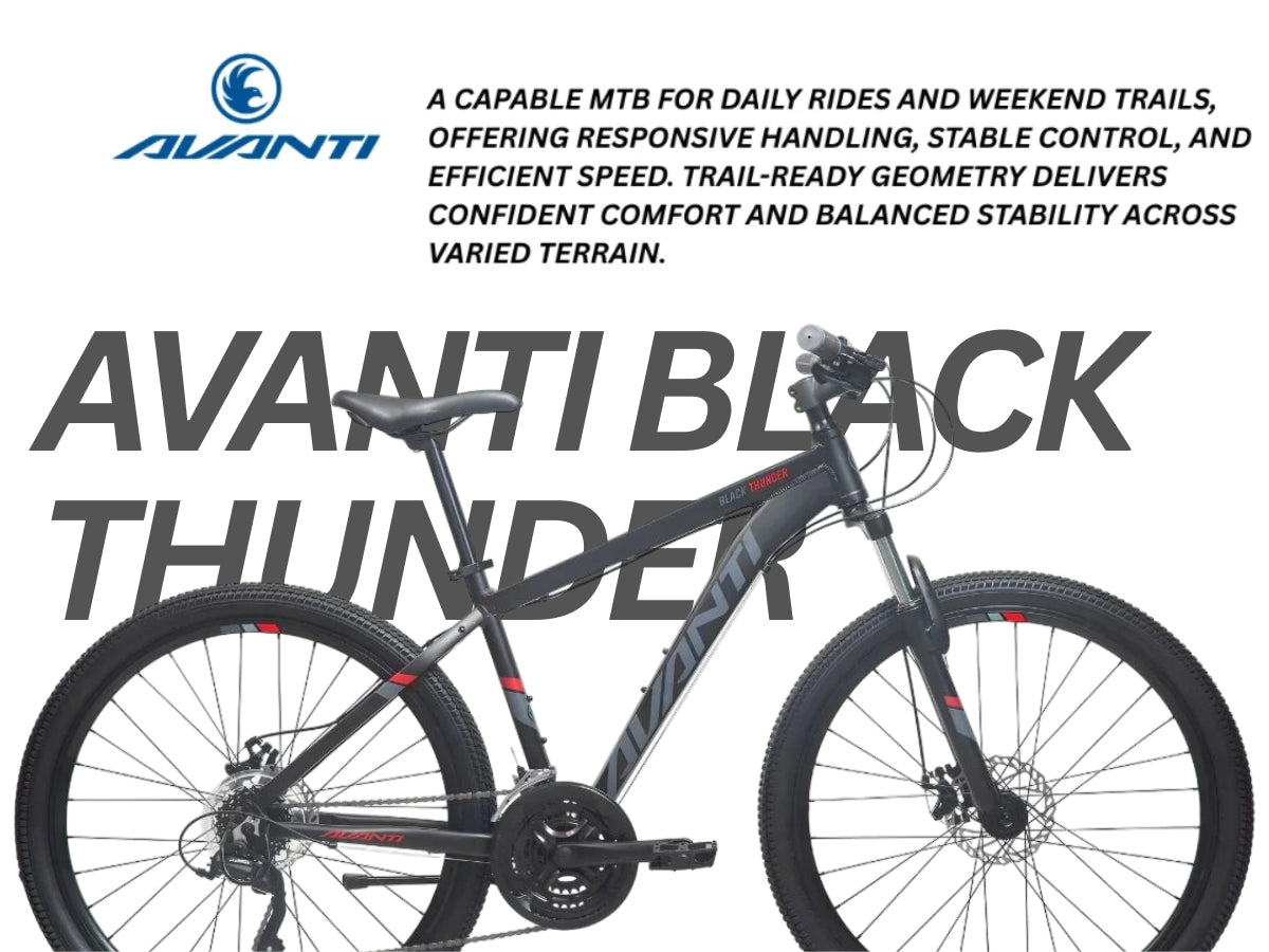 Avanti Black Thunder 1 Bicycle